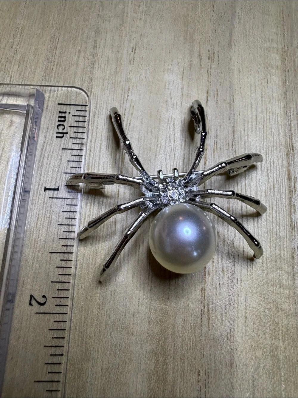 N/A elegant spider